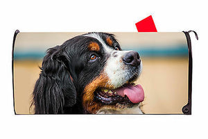 Bernese Mountain Dog Magnetic Vinyl Mailbox Cover Made in the USA