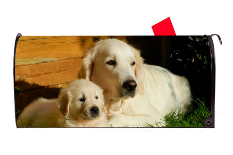 Golden Retreiver Dog 2 Mailbox Cover - Mailbox Covers for You