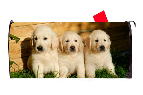 Golden Retriever Puppies Dog Magnetic Mailbox Cover - Mailbox Covers for You