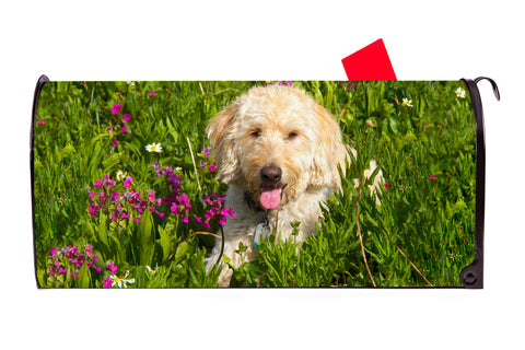 Goldendoodle Magnetic Mailbox Cover - Mailbox Covers for You