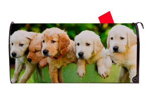 Golden Retriever Puppies in Pail Magnetic Mailbox Cover - Mailbox Covers for You