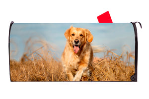 Golden Retriever Running in Field Magnetic Mailbox Cover - Mailbox Covers for You