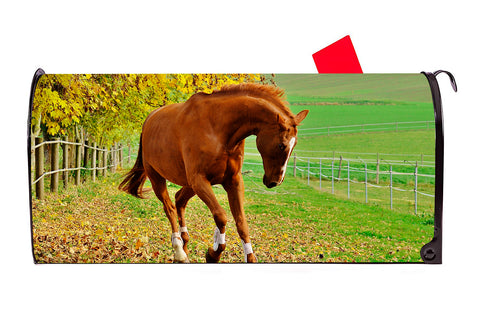 Horse 6 Magnetic Mailbox Cover - Mailbox Covers for You