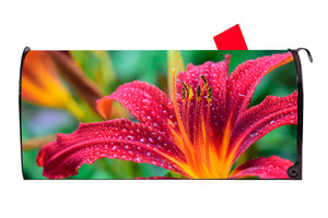 Lily 2 Mailbox Cover - Mailbox Covers for You