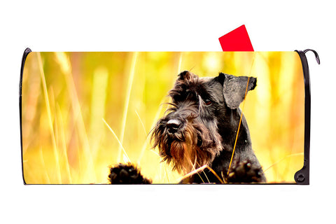 Miniature Schnauzer Dog  Magnetic Mailbox Cover - Mailbox Covers for You