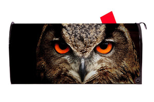 Owl Closeup Magnetic Mailbox Cover - Mailbox Covers for You