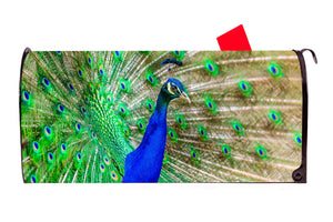 Peacock Magnetic Mailbox Cover - Mailbox Covers for You