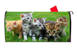 Playful Kittens Magnetic Mailbox Cover - Mailbox Covers for You