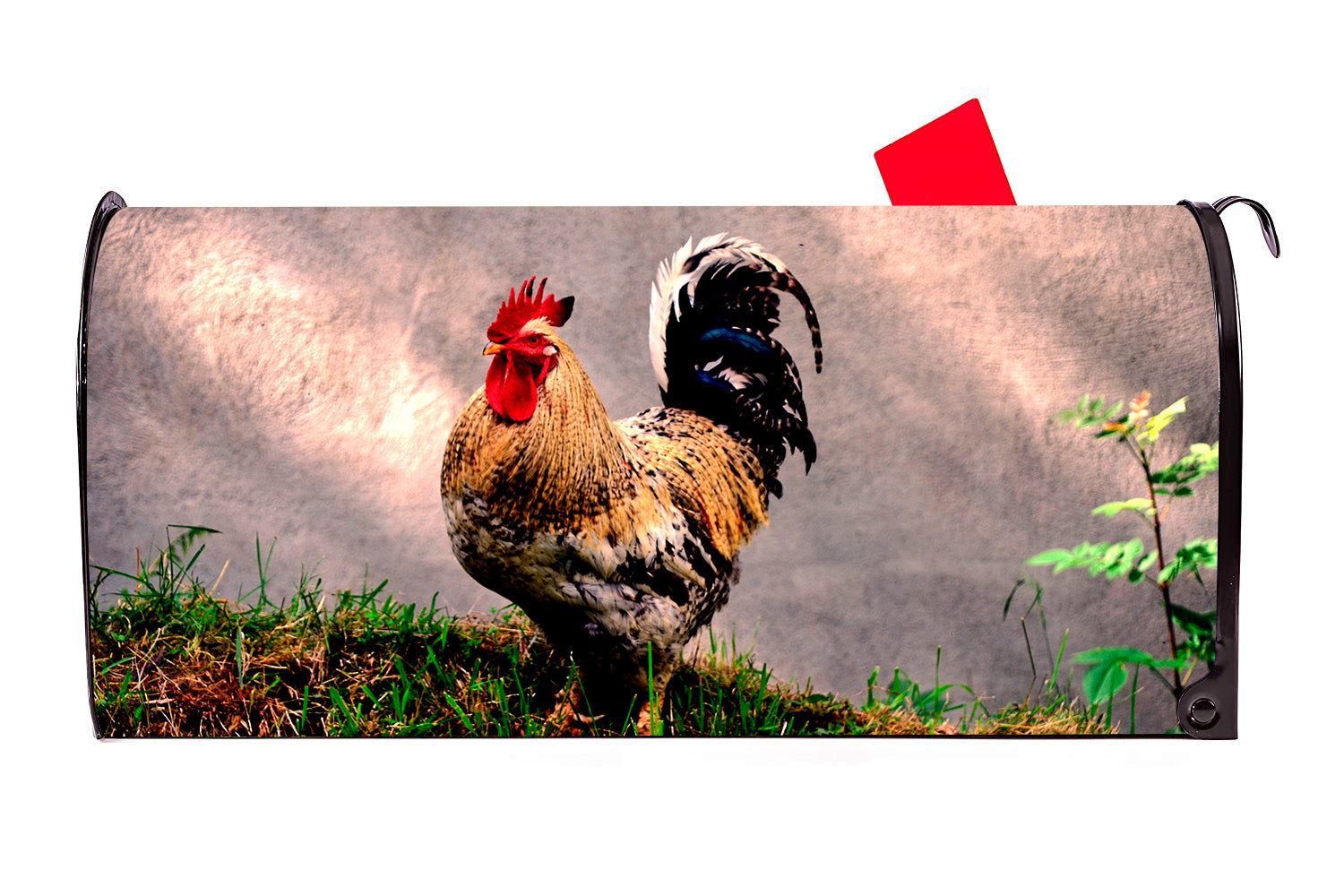 Rooster 2 Magnetic Mailbox Cover - Mailbox Covers for You