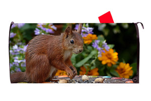 Squirrel Magnetic Mailbox Cover - Mailbox Covers for You