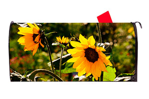 Sunflower 2 Mailbox Cover - Mailbox Covers for You