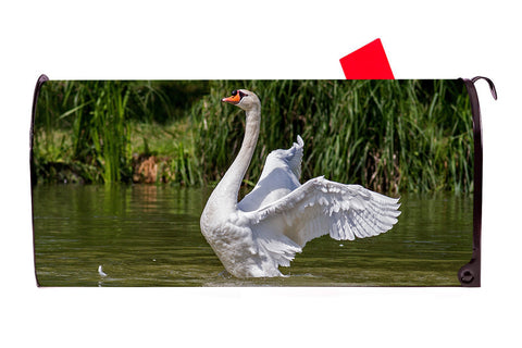 Swan 1 Magnetic Mailbox Cover - Mailbox Covers for You