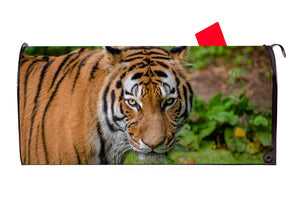 Tiger Magnetic Mailbox Cover - Mailbox Covers for You